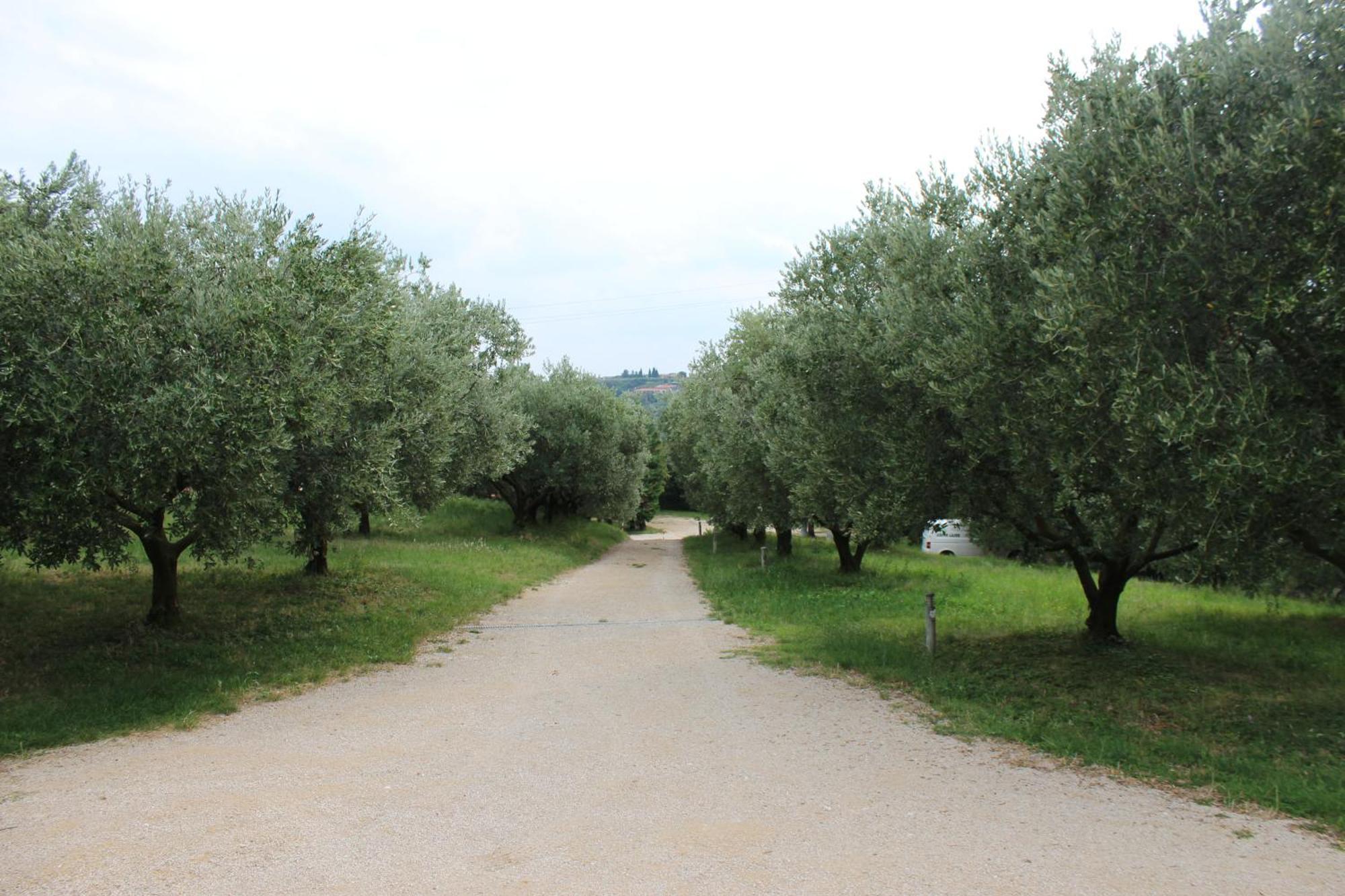 Agriturismo Spigolo Avesa Exterior foto